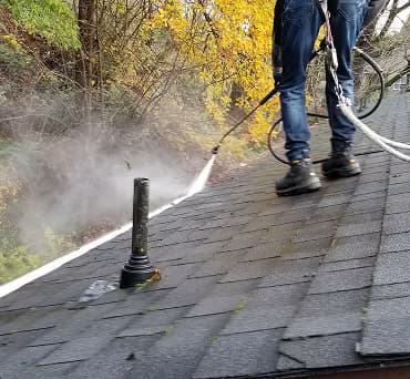 Gutter Cleaning